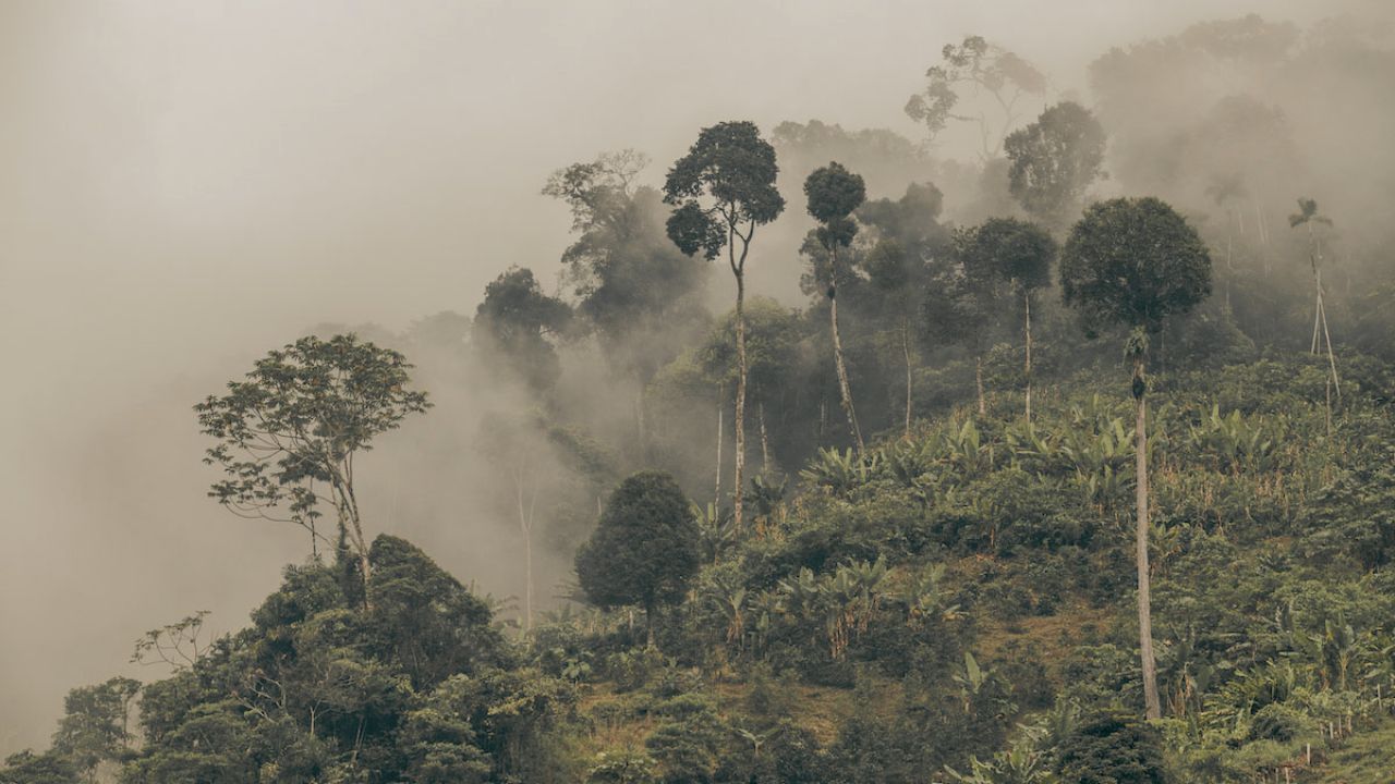 Principios éticos y legales para la mitigación del cambio climático con enfoque en los derechos de los pueblos indígenas